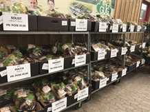 Læggekartofler i Gug planteskole